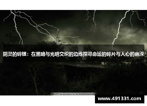 阴灵的碎银：在黑暗与光明交织的边缘探寻命运的碎片与人心的幽深