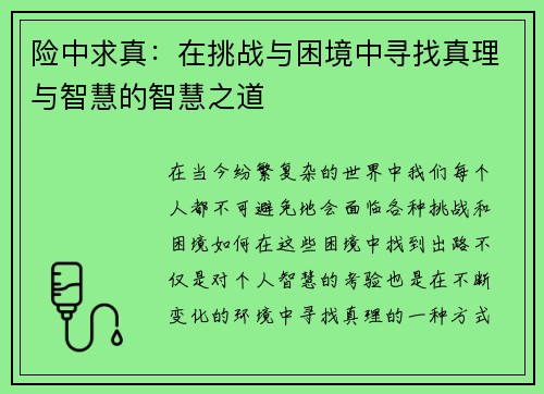 险中求真：在挑战与困境中寻找真理与智慧的智慧之道